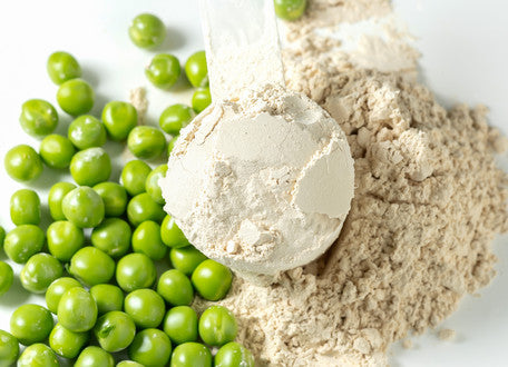 Erbsenprotein: Vorteile, Aminosäurenprofil & warum die richtige Kombination entscheidend ist
